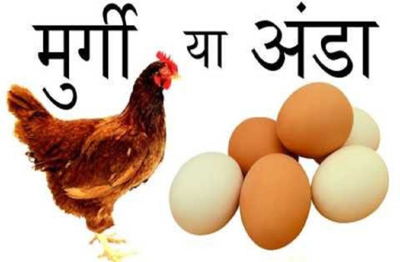पहले अंडा नहीं, मुर्गा-मुर्गी ही आए... वैज्ञानिकों ने सुलझाई पहेली