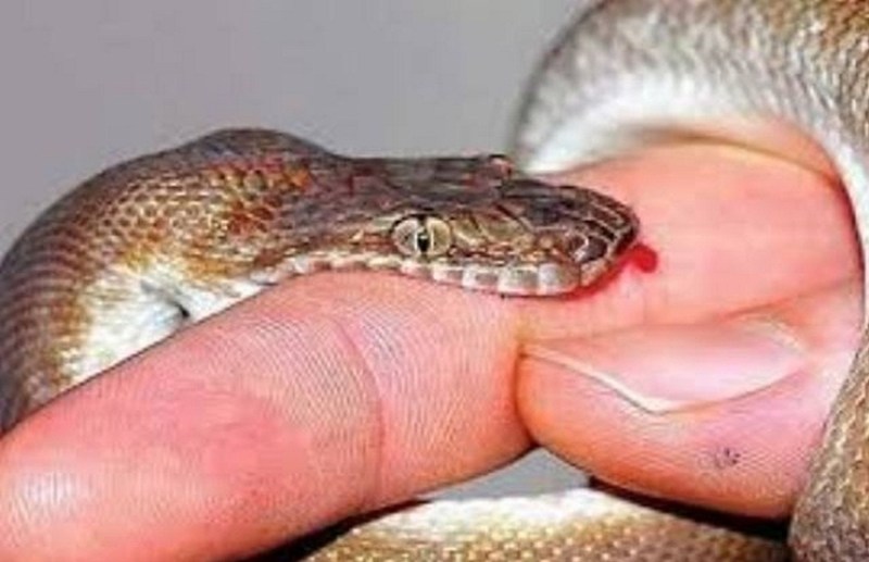 There is an increased risk of creeping death as soon as there is drizzle,