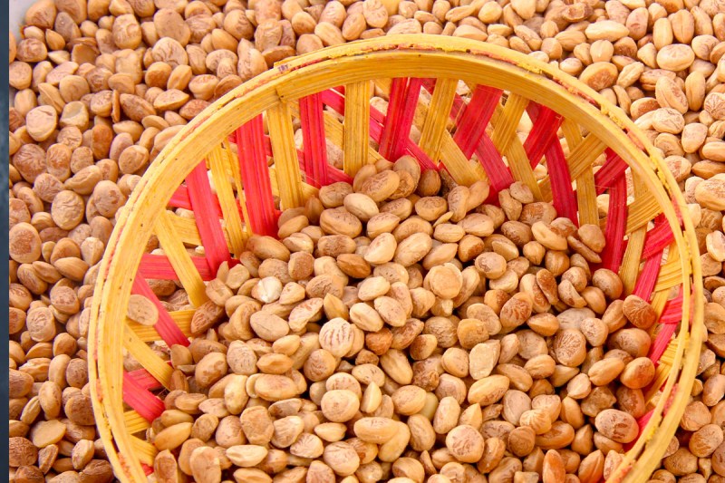 Benefits of Chironji