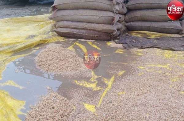 राजस्थान में बिपरजॉय से तबाही का मंजर, देखें ये तस्वीरें...