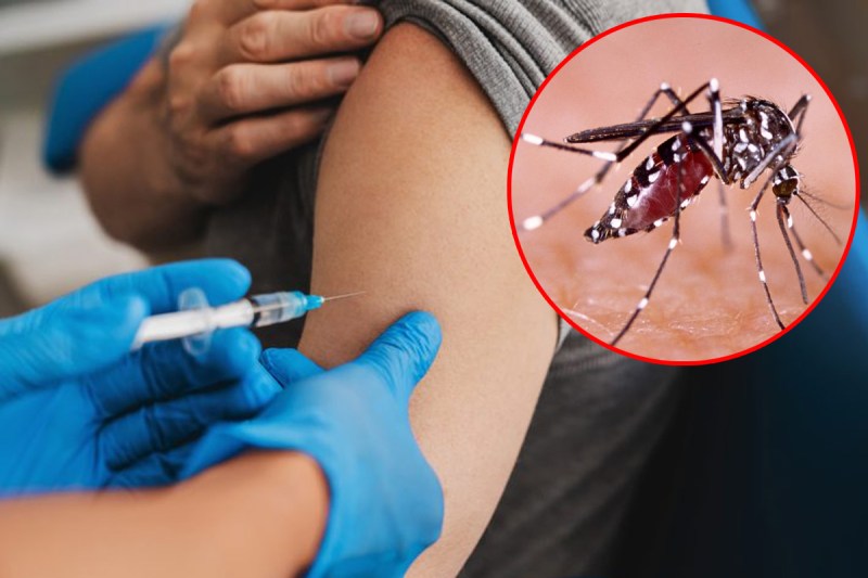chikungunya virus vaccine