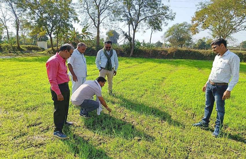 Millet Mission:छत्तीसगढ़ बना देश का मिलेट हब, देश का इकलौता ऐसा राज्य जहां समर्थन मूल्य पर हो रही खरीदी