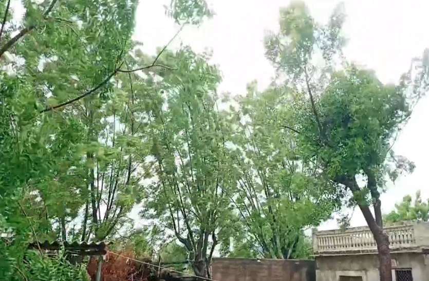 Biporjoy Cyclone के दौरान जानिए: राजस्थान के किस जिले में क्या है मौसम के हालात