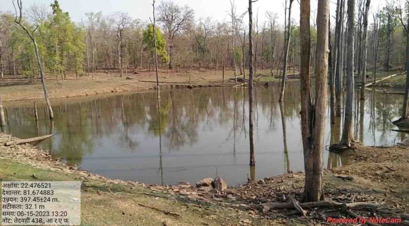 एटीआर में इस बार वन्यजीवों के लिए 500 से अधिक जगहों पर पानी की व्यवस्था