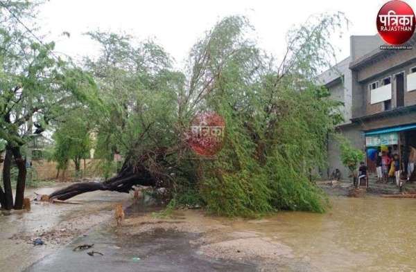 मारवाड़ में बिपरजॉय बिफरा, हर तरफ तबाही, पानी ही पानी, देखें ये तस्वीरें...