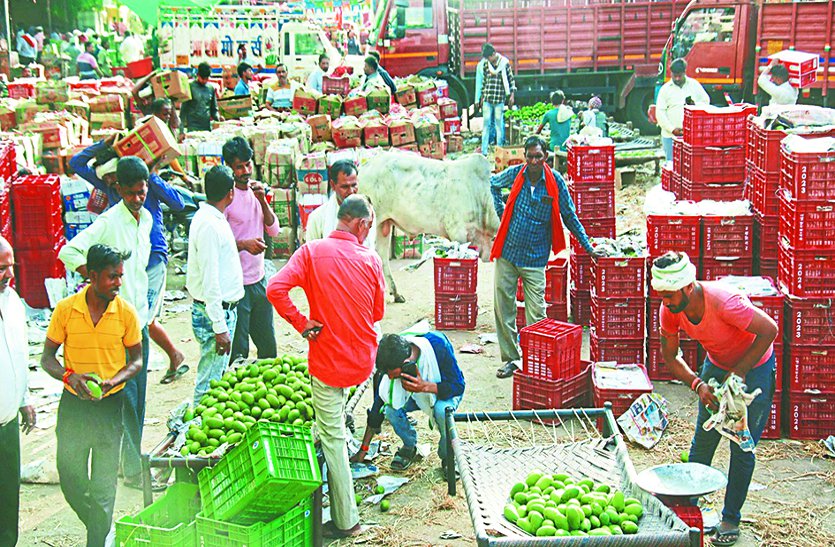 चीनी पुड़िया से पकाया जा रहा फलों के राजा आम, कर सकते हैं आपकी सेहत को खराब