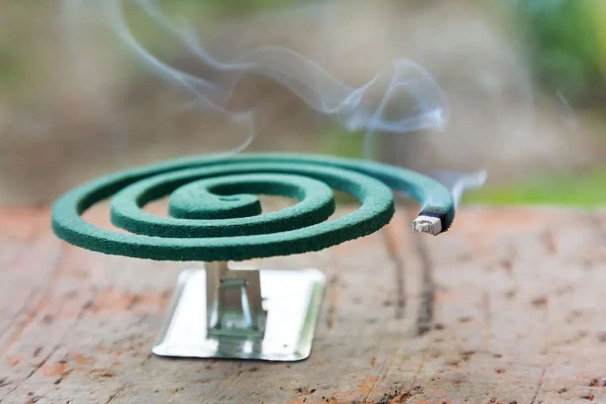 mosquito_coil.jpg