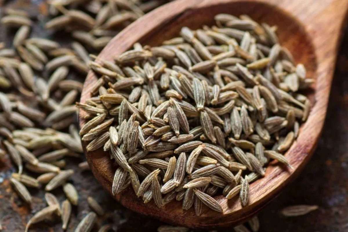 cumin_seed.jpg