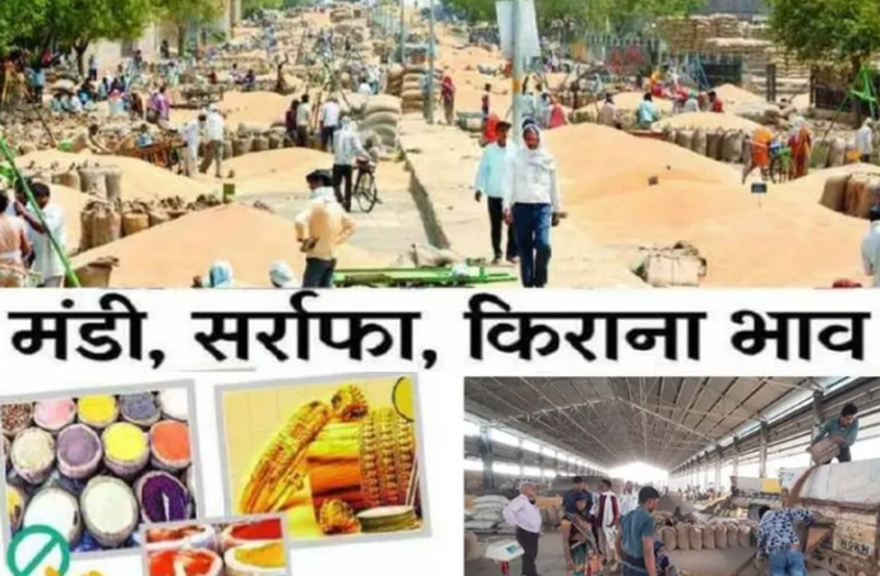 भामाशाह मंडी कोटा : गेहूं, सोयाबीन व धनिया में तेजी