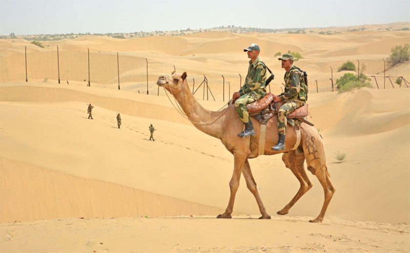 ऊंटों की घटती संख्या से चिंतित क्याें है बीएसएफ