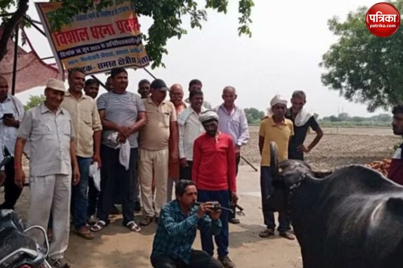 ग्रामीणों ने भैंस के सामने बजाई बीन