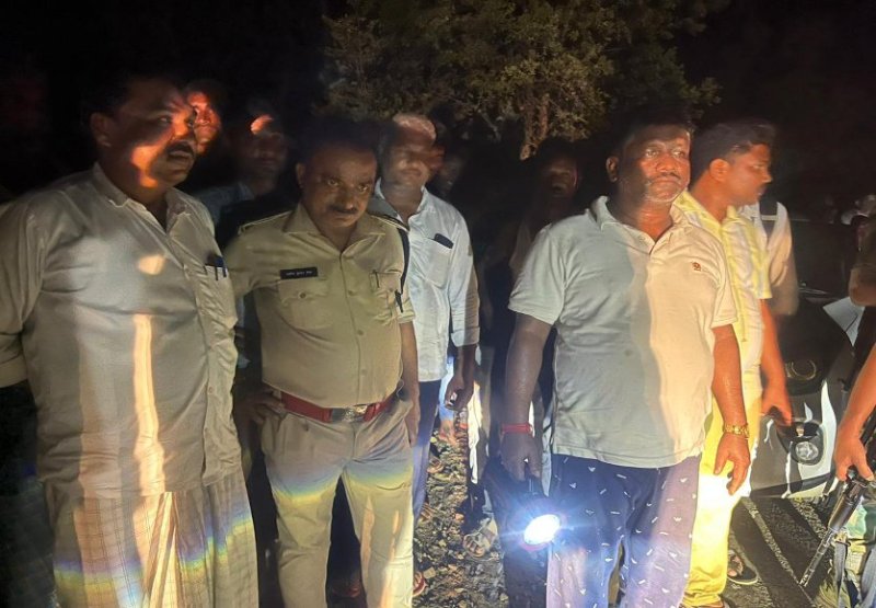 Elephants killed villagers