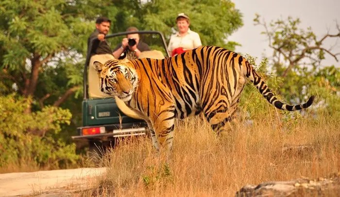 Ranthambore Tiger Reserve