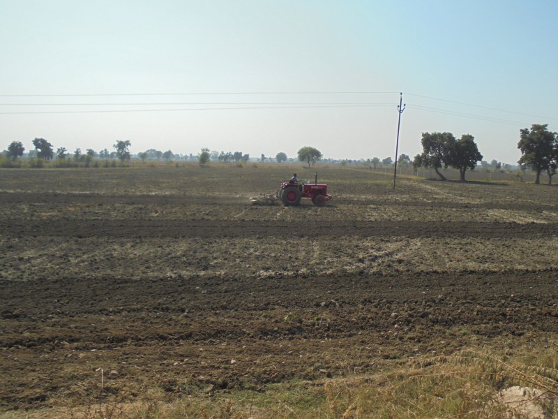 कम पानी की फसलों पर जोर, दलहन - तिलहन का रकबा बढ़ा, धान का घटाया