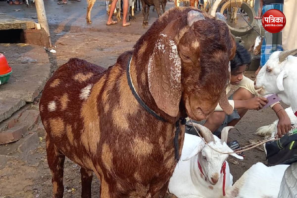 Varanasi News