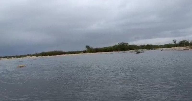 लूनी नदी में आया प्रदूषित पानी, हजारों किसानों की खुशियां काफूर