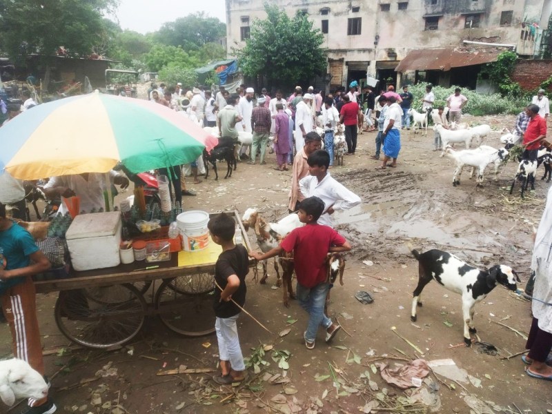 Bakrid 2023: रूस्तम दो लाख में बिका तो 3 लाख रुपए के शाहरूख को नहीं मिल रहा खरीदार, मेरठ में गरम है बकरा बाजार