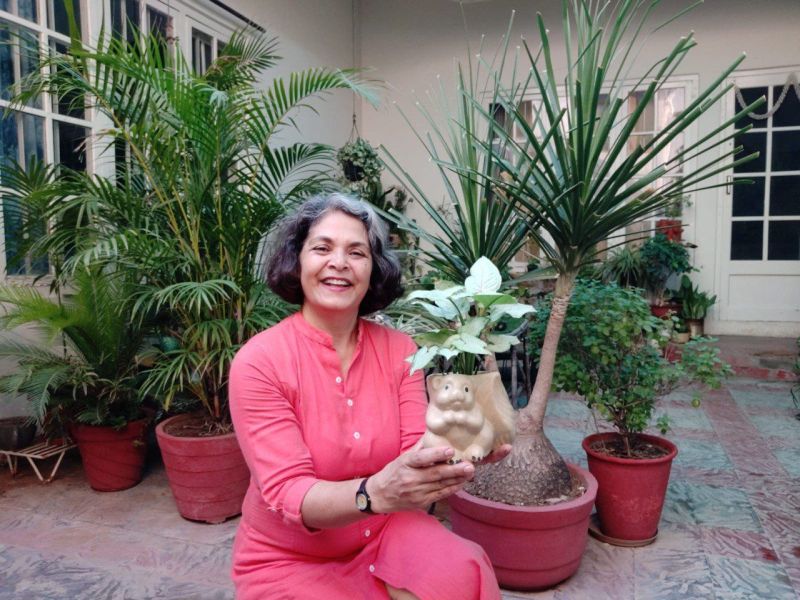 डेकोरेटिव पॉट्स में पौधे लगाने का बढ़ा चलन