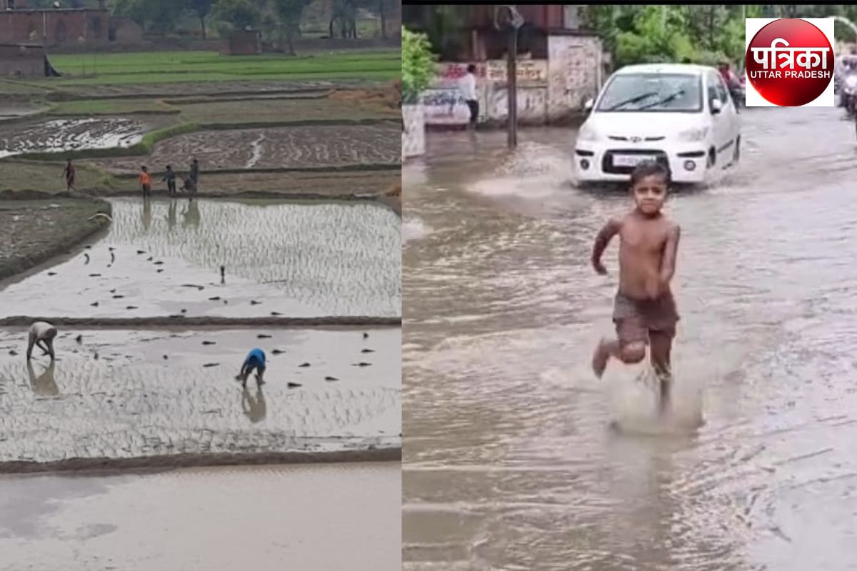 barish.jpg
