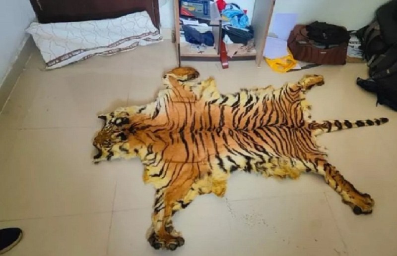 बाघ की खाल बेचते दो पुलिसकर्मियों समेत 9 लोग गिरफ्तार, भेजे गए जेल