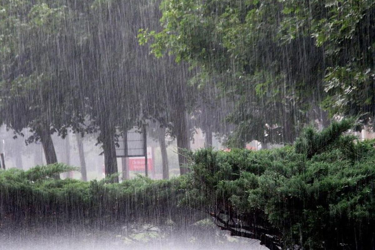 Weather FoHeavy rain alert 35 districts including in UP