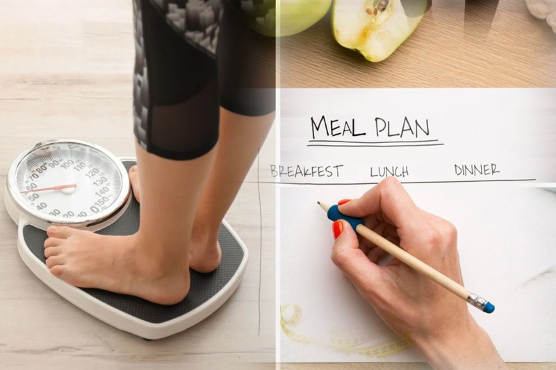 diet plan to lose weight