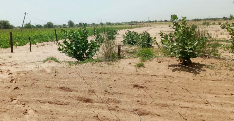 तूफान से गिर गए पोल, अब 7 दिनों से बिजली गुल