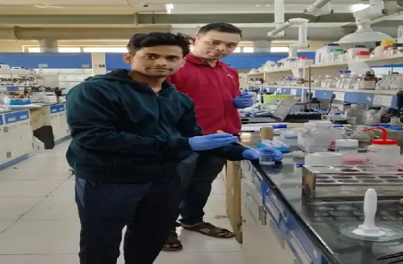 भिलाई के IIT छात्र ने बनाई डायबिटीज की नई दवाई, इंसुलिन इंजक्शन से मरीजों को मिलेगी राहत, इतने दिनों तक रहेगा असर