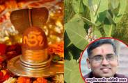 rashi_anusar_puja_sawan.jpg