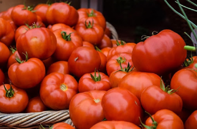 Tomato Price: टमाटर ने तोड़े तेजी के सारे रिकॉर्ड, 170 रुपए किलो पहुंचे दाम