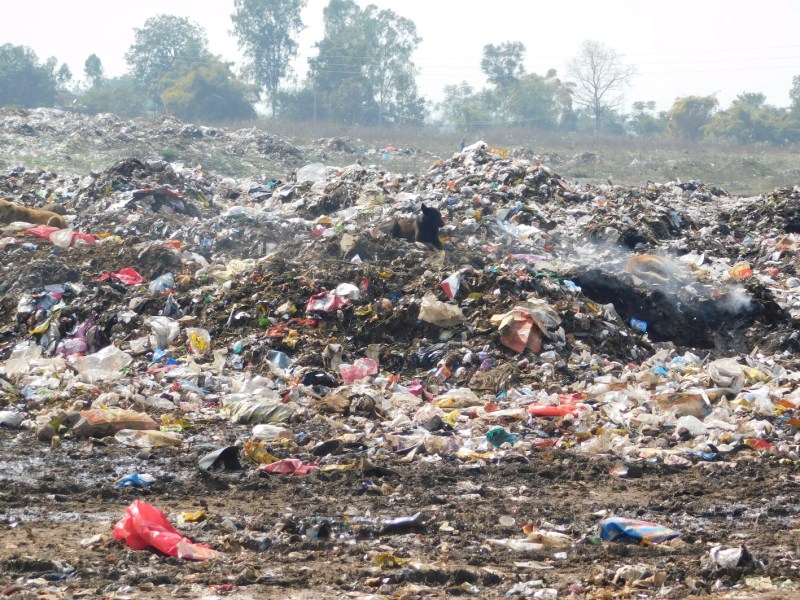 प्रतिबंध के बाद भी धड़ल्ले से हो रहा पॉलीथिन उपयोग, वर्ष भर में मात्र 45 लोगों के विरुद्ध कार्रवाई