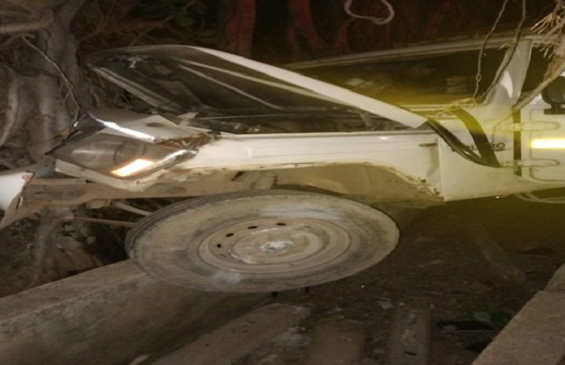 Janjgir-Champa Accident: Pickup collided with tree, 12 injured