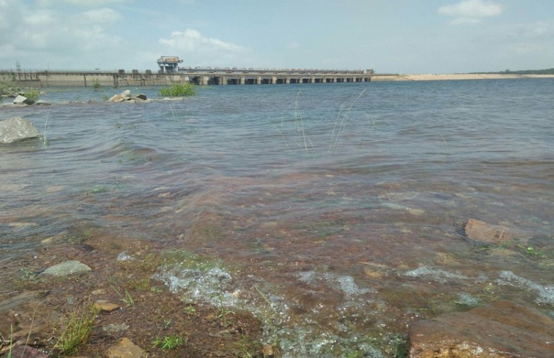 बीते साल गंगरेल बांध में भर चुका था 23 टीएमसी पानी, इस साल बारिश का अभाव