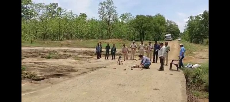 10 दिन बाद जंगल में मिला बाघ का कटा सिर