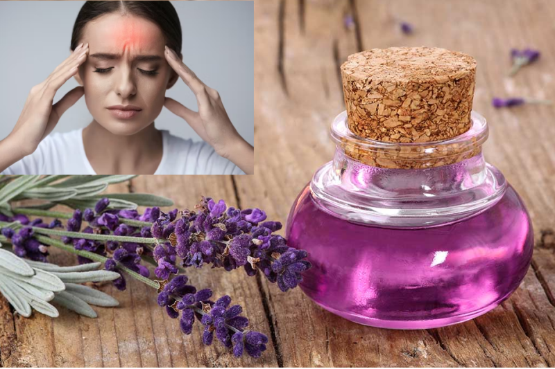 lavender_oil_health_benefits_in_headache.png