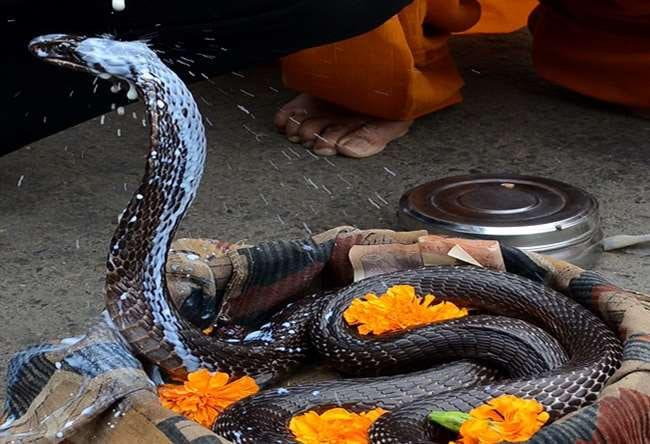 Nag Panchami 2023