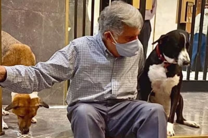 Ratan Tata tweeted that before starting car must see below