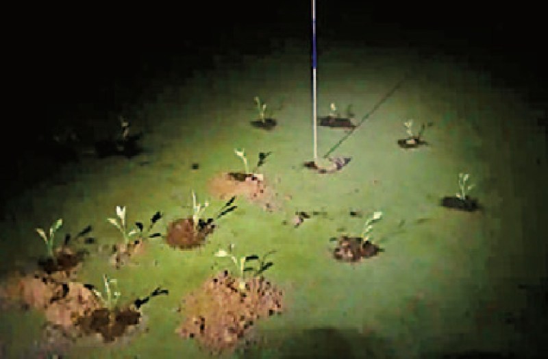 पानी बचाने के लिए पौधों-सीमेंट से बंद किए गोल्फ मैदानों के छेद