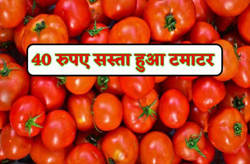 40 रुपए सस्ता हुआ टमाटर, इंदौर मंडी में महाराष्ट्र से आया माल
