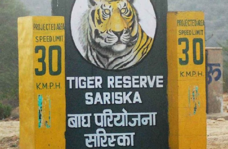 sariska tiger reserve
