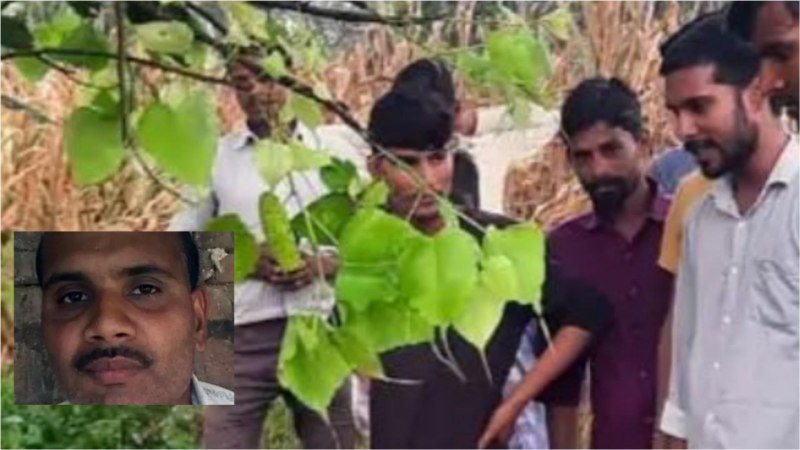 UP monsoon: आकाशीय बिजली की चपेट में आने से किसान की मौत, रात में बारिश की संभावना