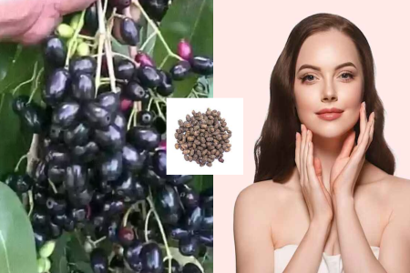 jamun_seeds_benefits.png