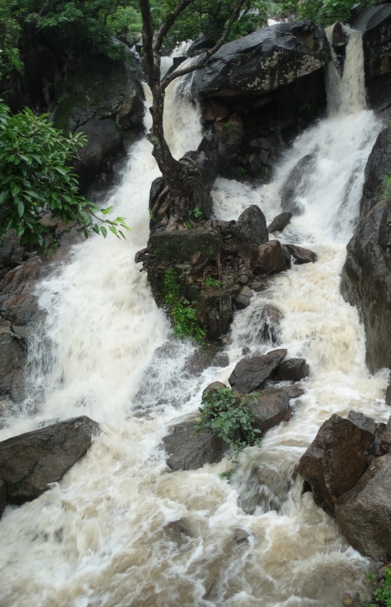 जिलेभर में झमाझम बारिश, 11 बांधों पर चल रही चादर, शिवगंज में 144 एमएम बरसा पानी