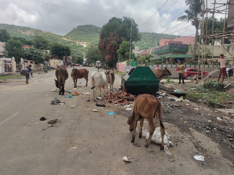 पॉश इलाके बदहाल. .बंद लाइट, सड़क-नालों का बुरा हाल