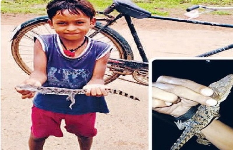 Khatron Ka Khel: Children playing with crocodile like toys