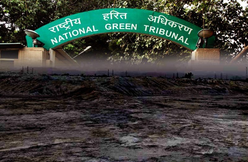 एनजीटी ने दिए 5 क्रेशर और 10 खनन लीज बंद करने के आदेश
