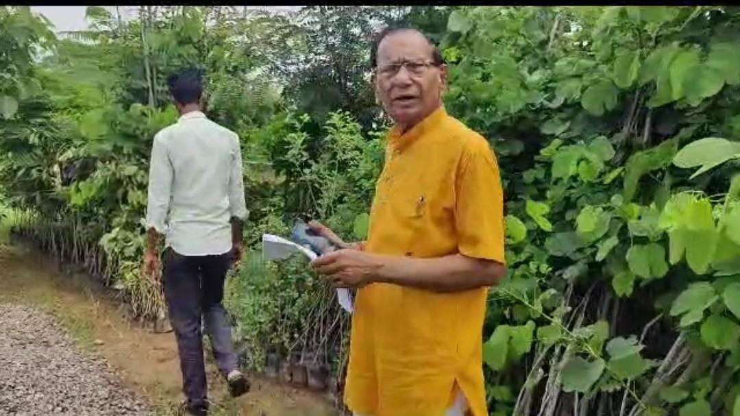 नर्सरी दिखाते ट्री मैन डॉ. राजेश अग्रवाल