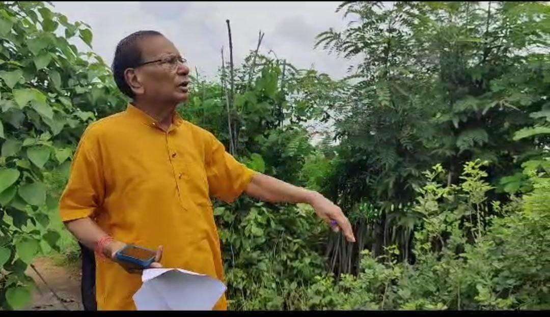 नर्सरी दिखाते ट्री मैन डॉ. राजेश अग्रवाल