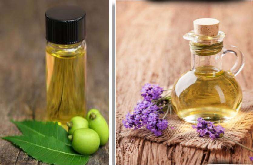 levender_essential_oil_and_neem_oil.jpg