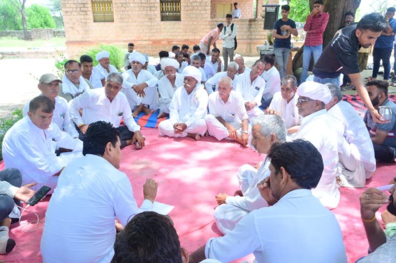 राज्य वृक्ष खेजड़ी पर चली कुल्हाड़ी पर्यावरण प्रेमियों का धरना शुरू, जानें क्या है मामला